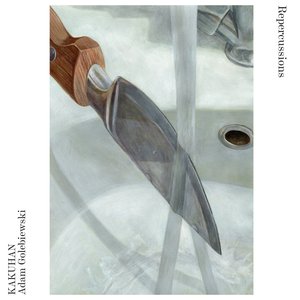Image for 'Repercussions'