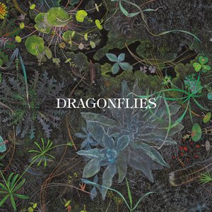 Image for 'Dragonflies'