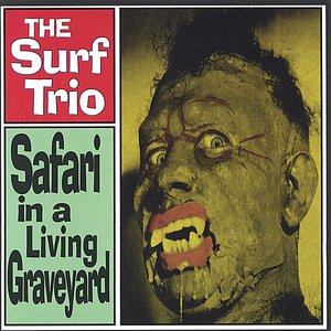 Image for 'Safari in a Living Graveyard'