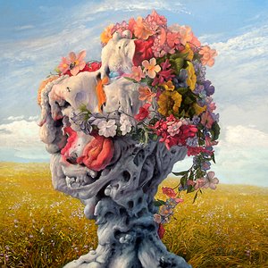 Bild für 'Veil of Imagination'