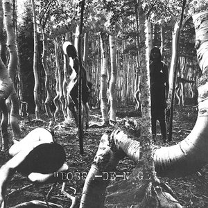 Image for 'Bosse-de-Nage'
