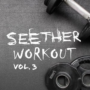 Image for 'Seether Workout Vol. 3'