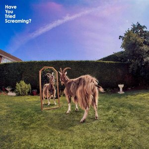 Image for 'Have You Tried Screaming?'