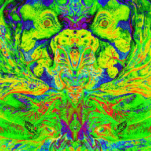 Bild für 'Who Let The Bird Out'