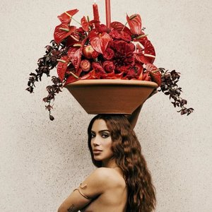 Zdjęcia dla 'Anitta'