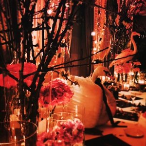 Image for 'Scary Life'