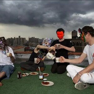 Image for 'Animal Collective'