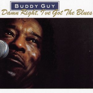 “Damn Right, I've Got The Blues”的封面