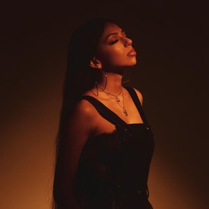 Image for 'Saleka'