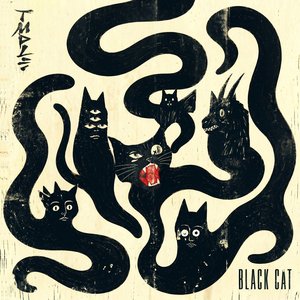 Imagen de 'Black Cat'