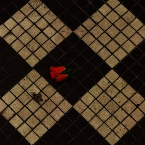 Image for 'In the dark - Single'