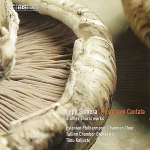 Image for 'Sumera: Mushroom Cantata / Concerto Per Voci E Strumenti / Island Maiden's Song From the Sea'