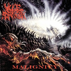 Image for 'Malignity'