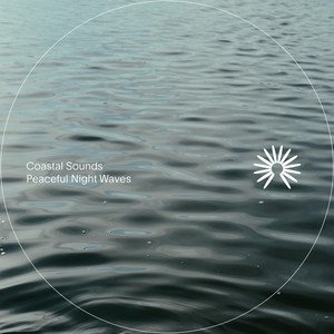 Image for 'Peaceful Night Waves'