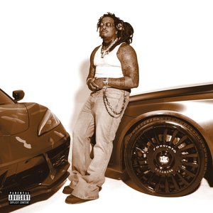 Image for 'The Brown Album'