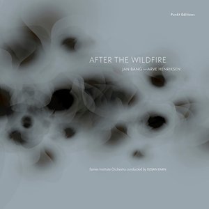 Image for 'After the Wildfire'