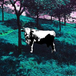 Image for '1749'