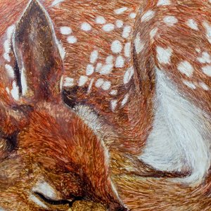 Image for 'Close'