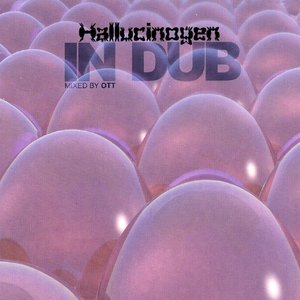 Immagine per 'In Dub mixed by Ott'