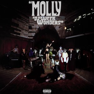 Image for 'MOLLY AND HER WEEK OF WONDERS'