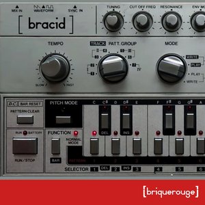 Zdjęcia dla '[bracid] : Acid House Is A State Of Mind'