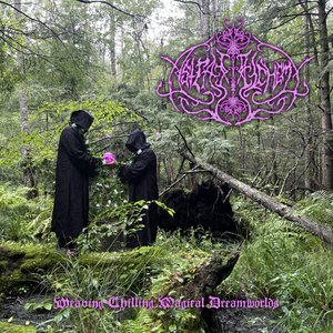 Image for 'Weaving Chilling Magical Dreamworlds'