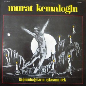 Image for 'Kaplumbağaların Uykusuna Dek'