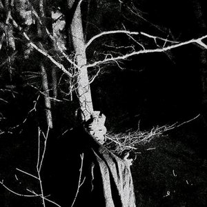 Image for 'Erscheinung'