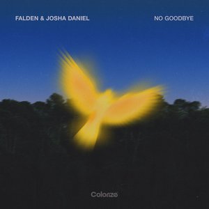 Image for 'No Goodbye'