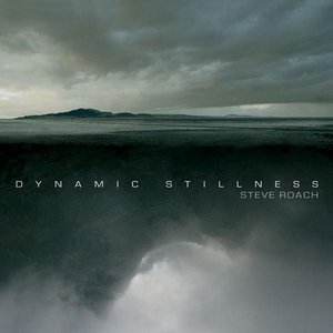 Image for 'Dynamic Stillness'