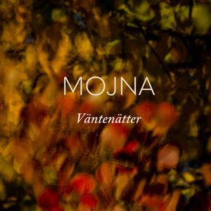 Image for 'Väntenätter'