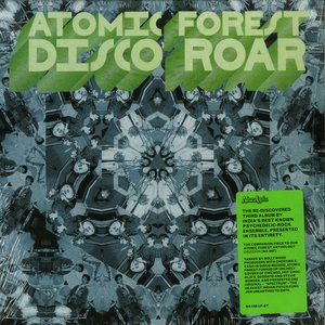 Image for 'Disco Roar'