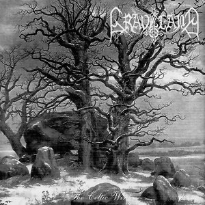 Immagine per 'The Celtic Winter'