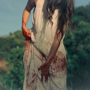 Image for 'bloodstream'