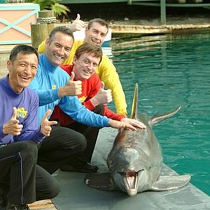 Image for 'The Wiggles'