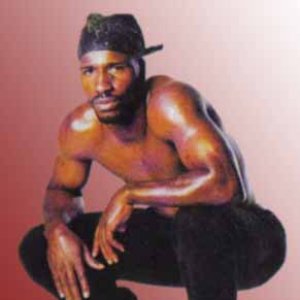 Bild für 'Willie D'
