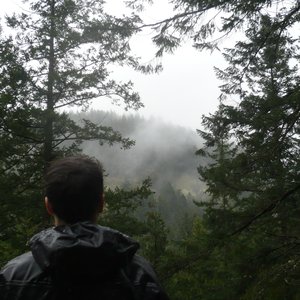 Immagine per 'Mount Eerie'