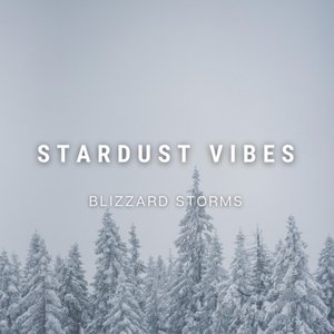 Image for 'Blizzard Storms'