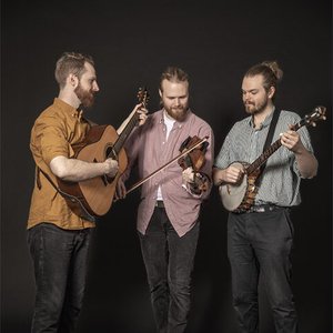 Immagine per 'New Valley String Band'