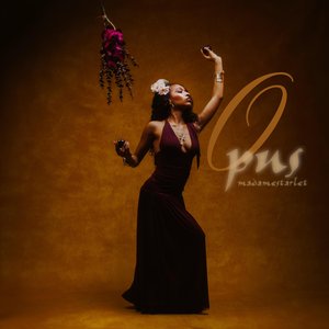 Изображение для 'Opus'