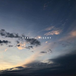 Image for 'erratic misery LP'