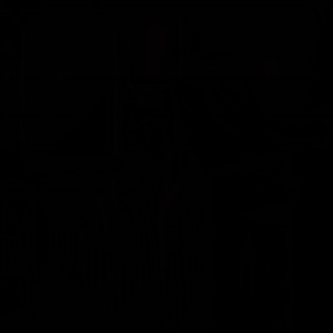 Изображение для 'decoy'