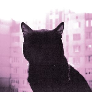 Image for 'calmaê / citação: baba'