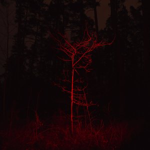 Image for 'Gauja'