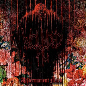 Image for 'A Permanent Mark'