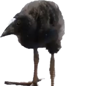 ownero