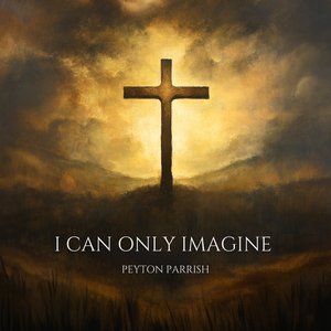 Image for 'I Can Only Imagine'