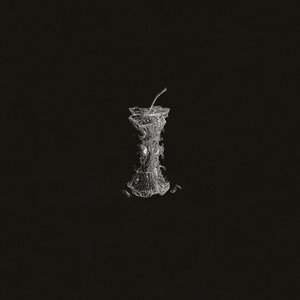 Image for 'MELA MARCIA'