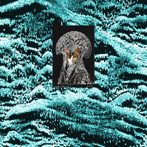 Image for 'COSMICOOKS vol. 8'