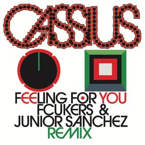 Immagine per 'Feeling For You (Fcukers & Junior Sanchez Remix)'